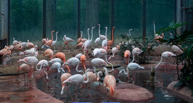 北京動物園電子門票管理系統價格.png